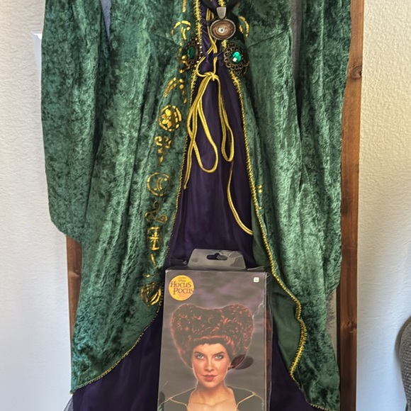 Hocus Pocus Winifred Sanderson Costume + Wig - Picture 5 of 7